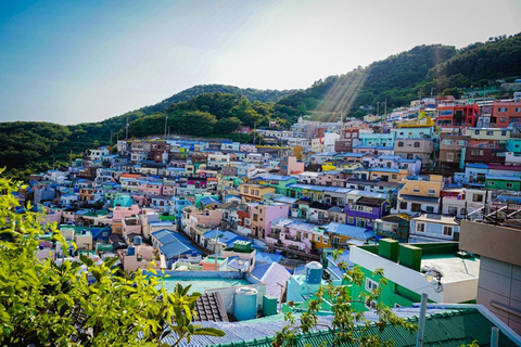 Busan Coastal Tour: Yonggungsa, Cruise & Gamcheon