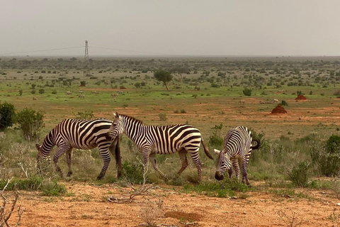 Mombasa: 3-Day Tsavo East/West & Kilimanjaro Views Safari