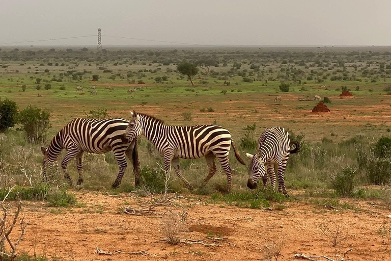 Mombasa: 3-Day Tsavo East/West & Kilimanjaro Views Safari