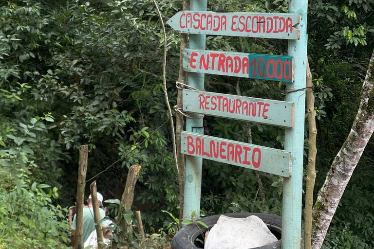 Minca: Coffee Farm and Hidden Waterfall Tour with Lunch