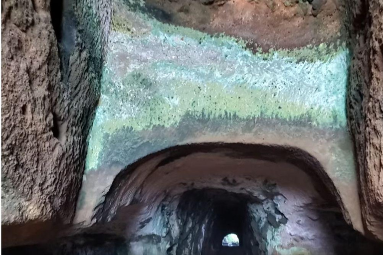 St Vincent: Windward Trifecta Tour with Trubb Taxi Tours