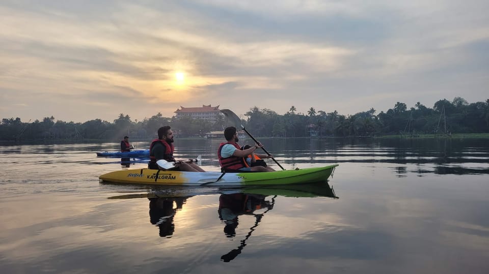 Kayak al Santuario de Aves de la Isla Pathiramanal y Paseo por la ...