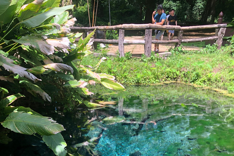 Chiang Mai: Bua Tong Sticky Waterfall TripJoin Group With Meeting Point Pickup