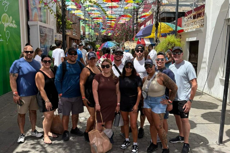 Puerto Plata: Cultural Immersion and Artisanal Cocoa Route