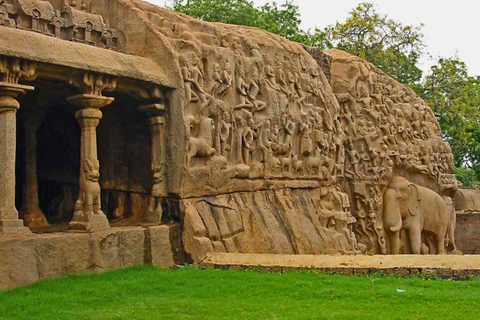 From Chennai: 12-Day Private Tour to Cochin with 3-Star Stay Chennai to Cochin 12 Days Private Tour with 3* Hotels