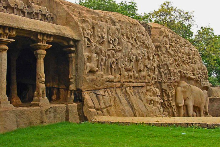 From Chennai: 12-Day Private Tour to Cochin with 3-Star Stay Chennai to Cochin 12 Days Private Tour with 3* Hotels