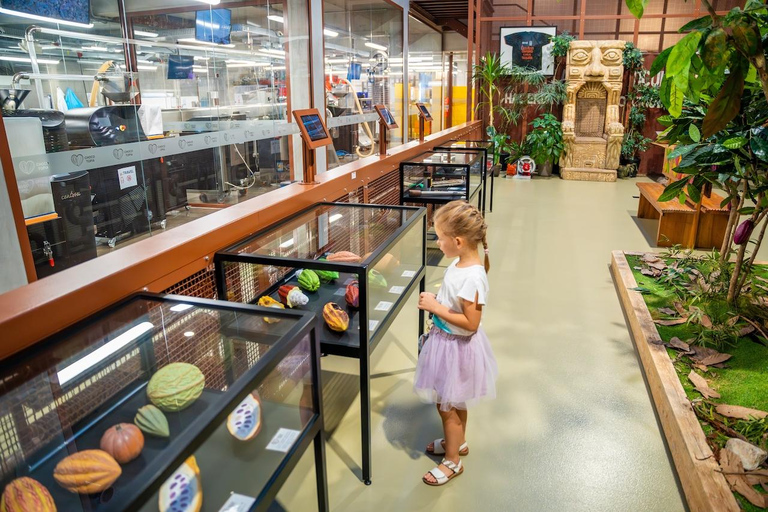 布鲁塞尔私人家庭之旅。亮点、品尝和博物馆布鲁塞尔：精华游、品尝美食和博物馆私人家庭游