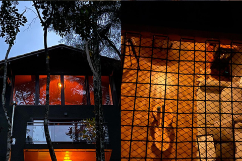 Da Rio: ritiro ecoturistico di 4 giorni con trasferimenti e cabineDa Rio: 4 giorni di eco-turismo con trasferimenti e alloggio in bungalow