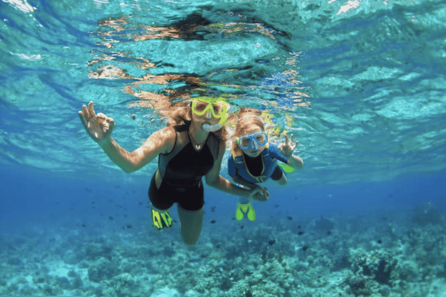 Siesta Key: Geführte Schnorcheltour mit Ausrüstung und Snacks. Foto: GetYourGuide