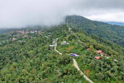Huatulco: Pluma Hidalgo Coffee Origin and Essence.