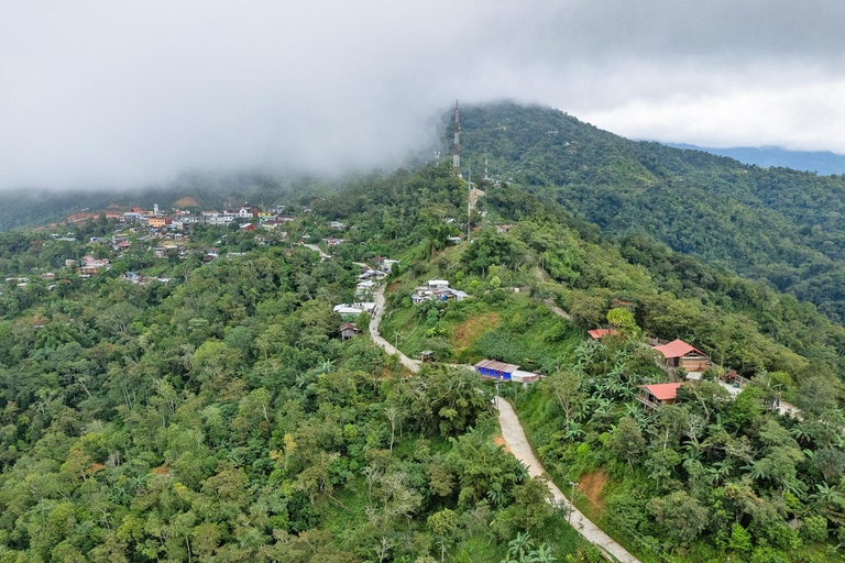 Huatulco: Pluma Hidalgo Coffee Origin and Essence.