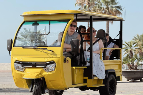 Barcelona: Electric Tuk-Tuk Tour with Local Guide