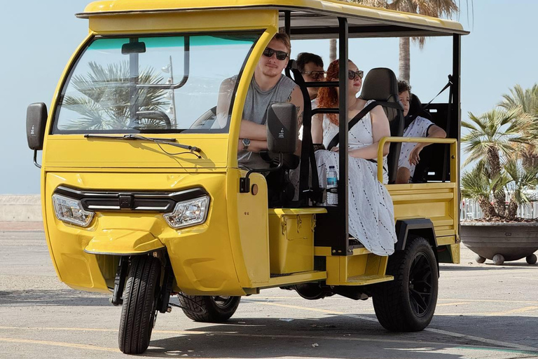 Barcelona: Electric Tuk-Tuk Tour with Local Guide