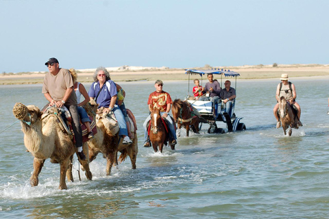 Djerba 1H30 Passeio a cavalo