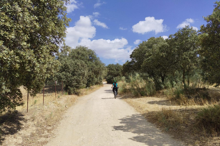 Ronda: Via Pescadora to Setenil de las Bodegas Cycling Tour