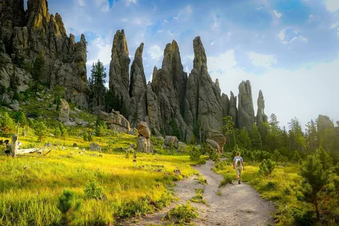 From Rapid City: Mt Rushmore-Crazy Horse-CSP Wildlife Loop
