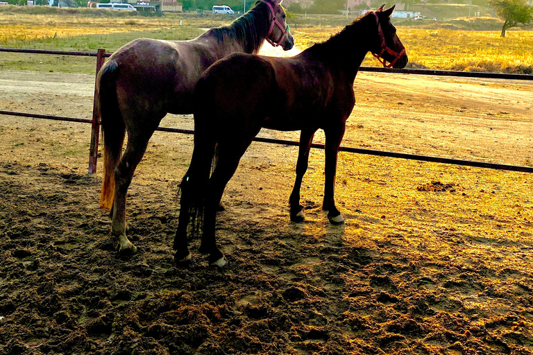 Cappadocia&#039;s Sunrise Horseback RidingCappadocia&#039;s Horseback Riding - 2 Hour Sunrise Tour