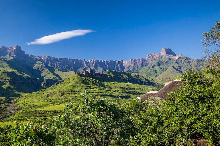 From Durban: Zulu and Nguni Isimangaliso area Village Tour