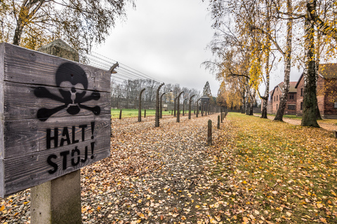 Från Krakow: Auschwitz-Birkenau-tur med transferTurné med broschyr