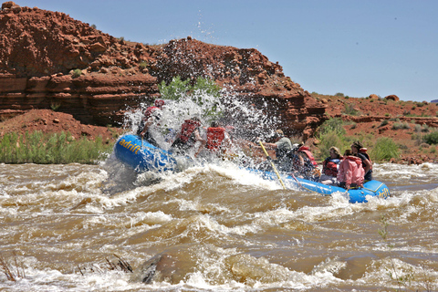 Colorado River Rafting: ochtend van een halve dag bij Fisher Towers