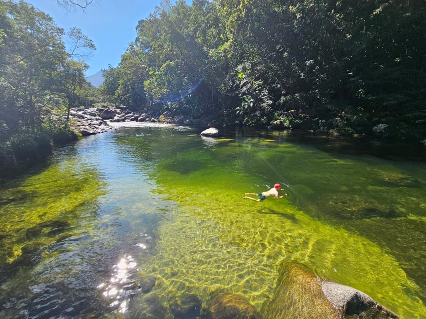 From Cairns: Mossman Gorge Tour & Daintree Rainforest Cruise | GetYourGuide