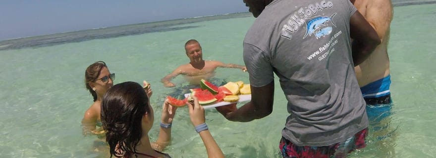 Visite de la piscine en nylon à fond de verre