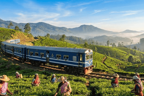 Nanu Oya: Scenic Train to Ella Reserved Seats with Transfers