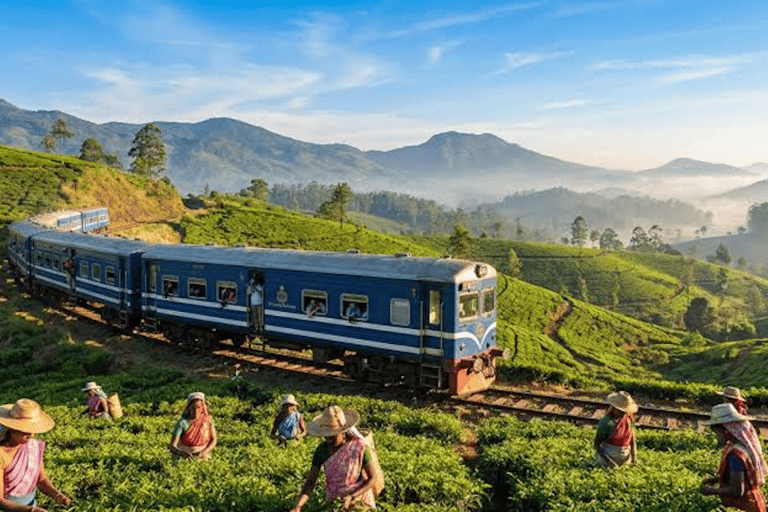 Nanu Oya: Scenic Train to Ella Reserved Seats with Transfers