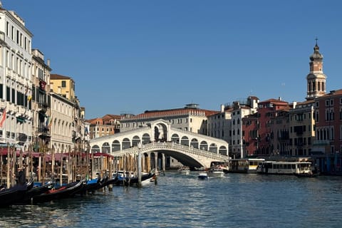Venice: from Rialto Market to San Mark's square