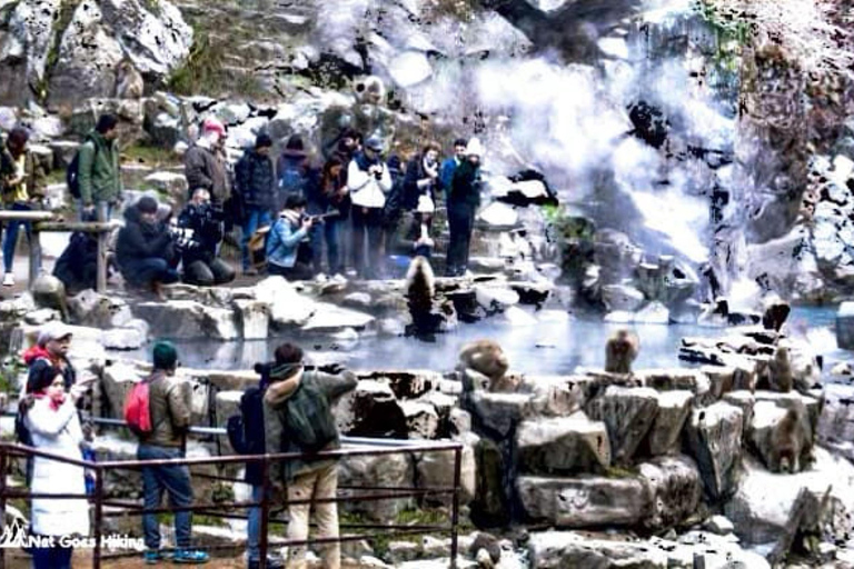 From Tokyo: Nagano Full Day Private Snow Monkey Park Tour