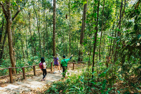 Doi Inthanon National Park Small Group Full Day Tour Private Tour with Entrance Included