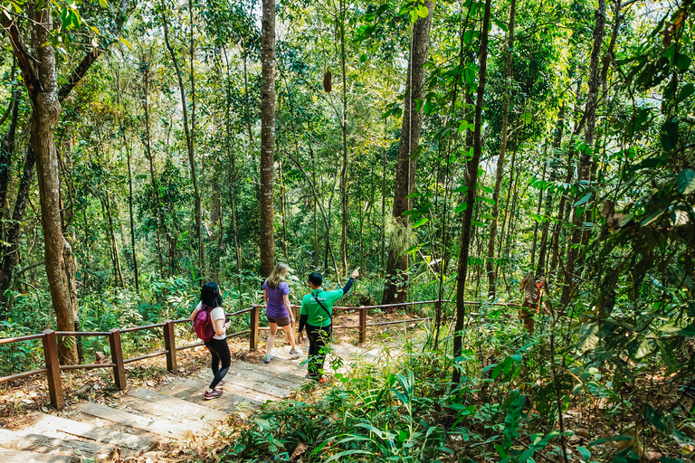 Dagtocht naar Nationaal Park Doi Inthanon met kleine groepExcursie in kleine groep, exclusief entreekosten