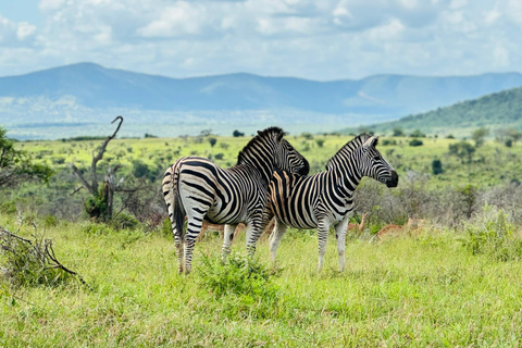 Zululand - Zuid-Afrika: Familie fotosafari