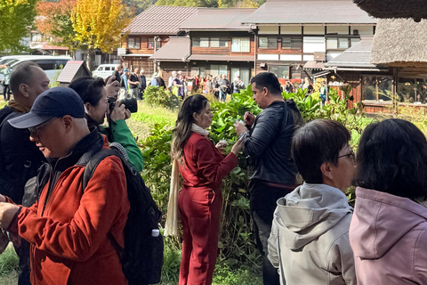 Kanazawa: Shirakawago, Gokayama, and Takayama Full Day Trip