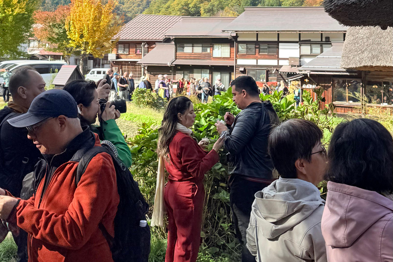 Kanazawa: Shirakawago, Gokayama, and Takayama Full Day Trip