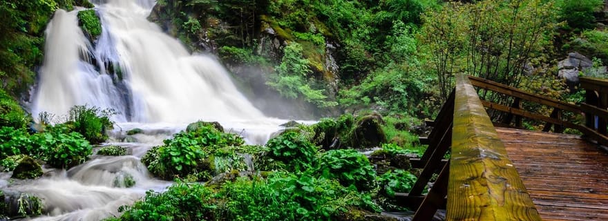 Visite privée d'une jounée dans la Forêt-Noire de Baden
