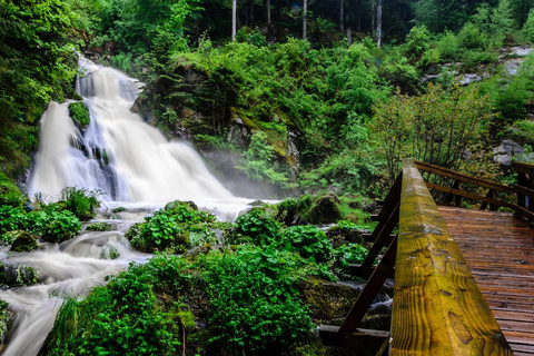 Tour privado de día completo por la Selva Negra de Baden