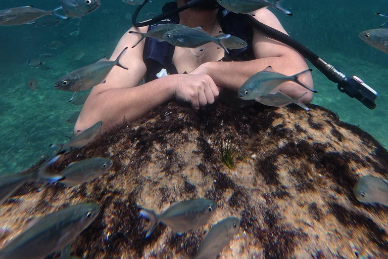 Mahdia: Guided Medina Tour and Scuba Diving Experience