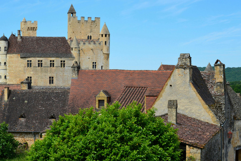 Bordeaux: Dordogne Valley Private Shore Excursion