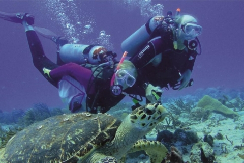 De côté : Plongée sous-marine : Explorez les profondeursExcursion de plongée sous-marine