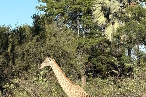 Zambezi-Wildwasser-Rafting &amp; White Rhino Walking Safari Combo