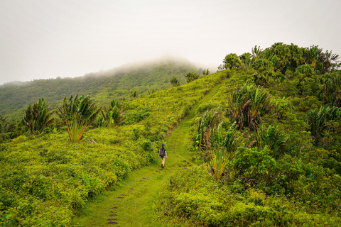 Maurice : randonnée guidée dans les gorges de la Rivière NoireMaurice : Randonnée guidée dans les gorges de la Rivière Noire