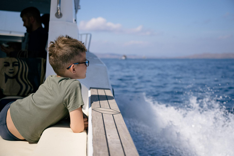 Tagestour Komodo mit privatem Schnellboot