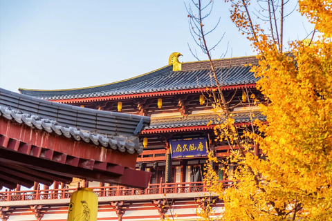Xi'an: "Poet Immortal" NPC Guided Tour at Tang Paradise