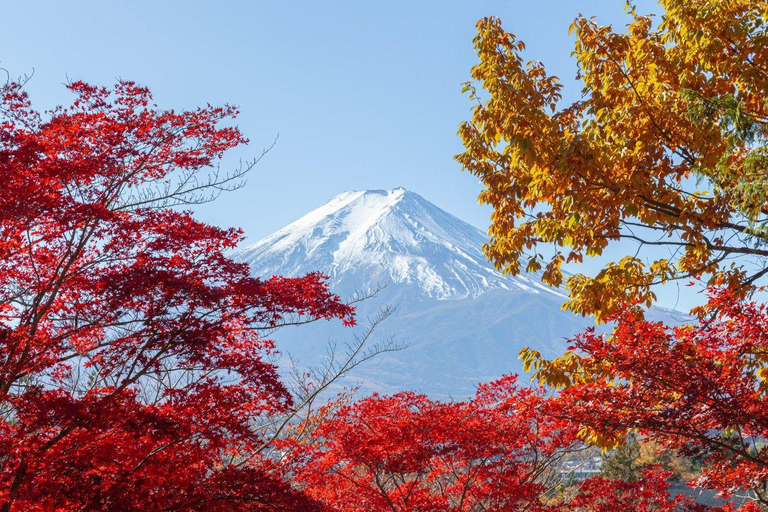 Tokyo: Full-day tour of the four Majestic spots of Mt Fuji