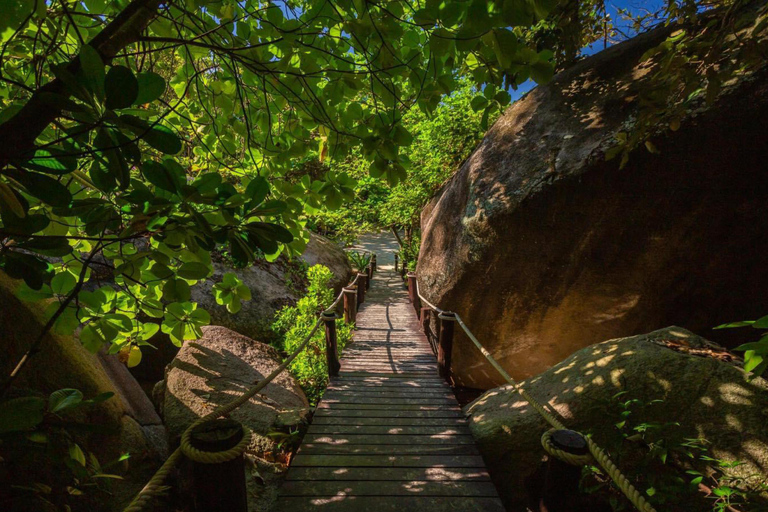 Phuket Excursión de un día a la isla Similan en catamarán de lujo y lancha rápida