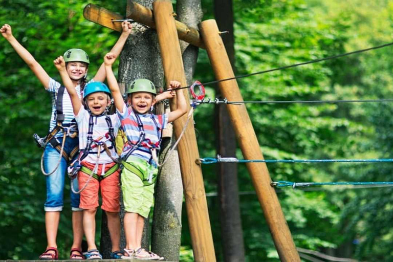 Punta Cana: Zipline Canopy Adventure with Hotel Pickup