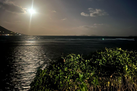 Culinary Adventure Walk on St. John: Food Tour & More!