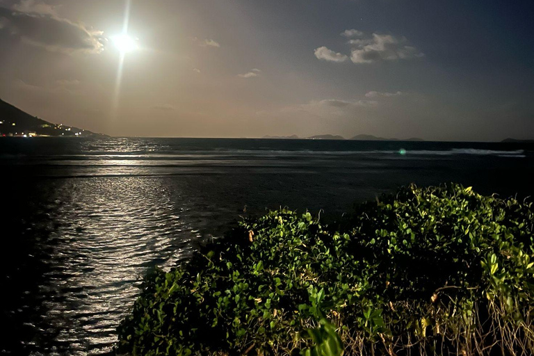 Culinary Adventure Walk on St. John: Food Tour & More!