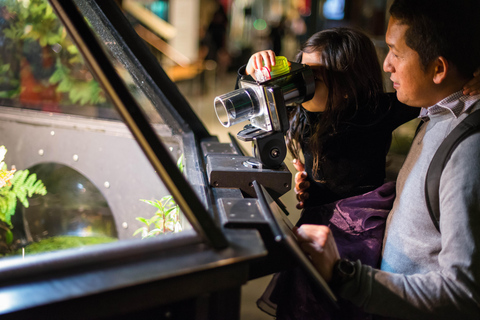 San Francisco: wstęp do Exploratorium w ciągu dnia